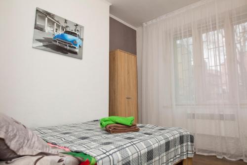 リヴィウにあるApartment on Lychakivska 161のベッドルーム1室(青い車が乗り入れたベッド1台付)