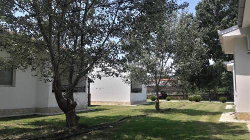 Zahrada ubytování Beni Bungalows