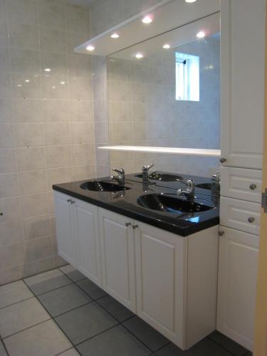 a bathroom with a sink and a mirror at Vakantiepark de Bronzen Eik in Sellingen