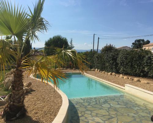 a swimming pool with a palm tree next to it at Mas de la Frigoule in Le Pouget