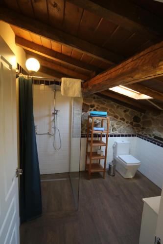 a bathroom with a shower and a toilet at Pazo de Chaioso Ribeira Sacra in Maceda