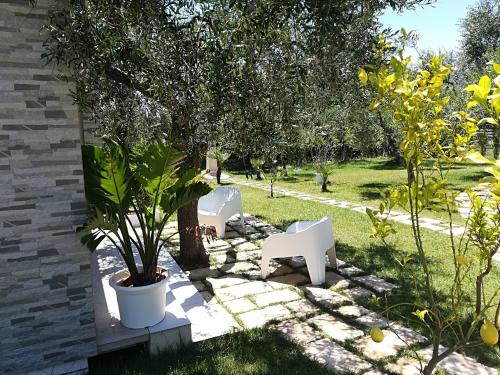two white chairs and a tree in a yard at Giardino Don Berardino in Mattinata