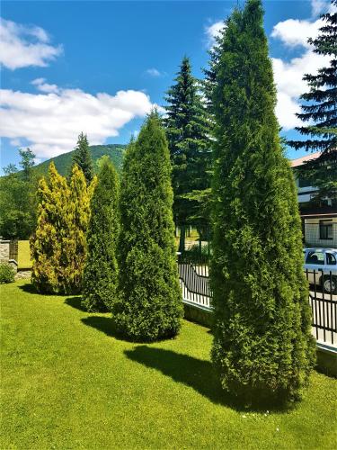 Příroda nedaleko apartmánu