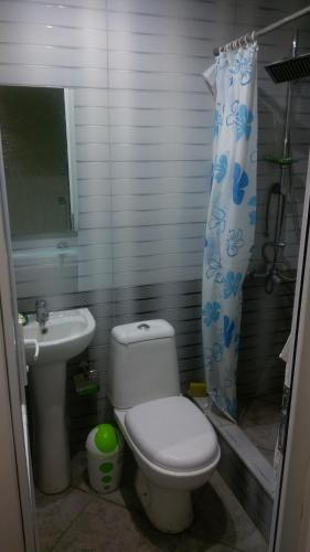 a bathroom with a toilet and a sink at Guest House Guriani in Grigoleti