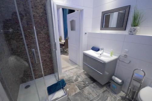 a bathroom with a shower and a toilet and a sink at Pension / Zimmervermietung Wasbek in Wasbek