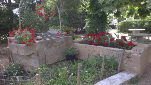 Κήπος έξω από το Bastide Ecurie Massilia