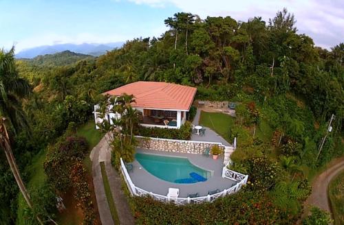 an aerial view of a house with a swimming pool at Tranquility Villa in Port Antonio