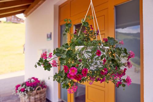 a hanging basket filled with pink flowers in front of a door at dr'Berghof in Damuls
