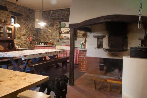 a dog standing in a kitchen with a brick oven at Vila dos Castanheiros in Ferreira do Zêzere