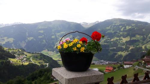a pot of flowers sitting on top of a ledge at Haus Panorama in Gerlosberg