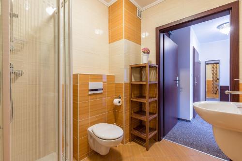 ein Badezimmer mit Toilette, Waschbecken und Dusche in der Unterkunft Willa Grawit in Władysławowo