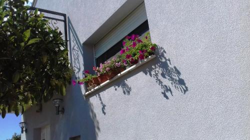 a window with a flower box on the side of a building at Apartment Lavander 01 in Pula