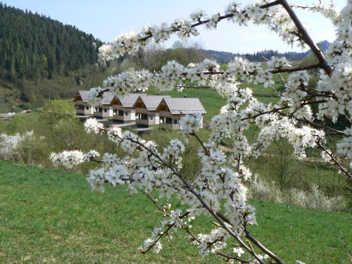 a building in a field with white flowers on a tree at Rekreačna usadlosť Pieninka in Lesnica
