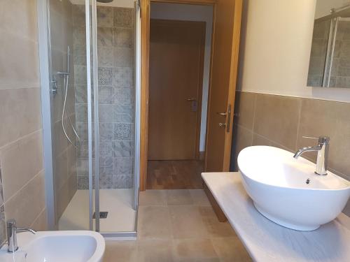 a bathroom with a sink and a shower at Hotel Pedretti in Branzi