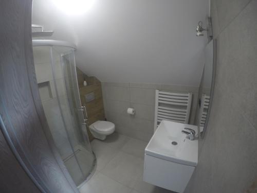 a bathroom with a toilet and a shower and a sink at Silver Residence in Rabka