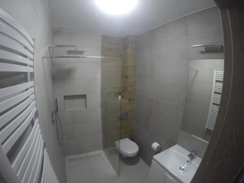 a bathroom with a shower and a toilet and a sink at Silver Residence in Rabka