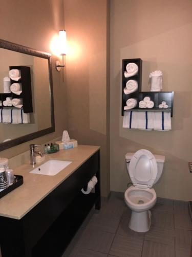 a bathroom with a toilet and a sink and a mirror at Countryview Inn & Suites in Robinson