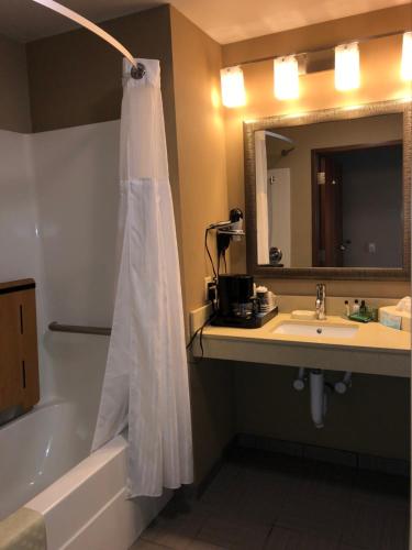 a bathroom with a shower curtain hanging over a bath tub at Countryview Inn & Suites in Robinson