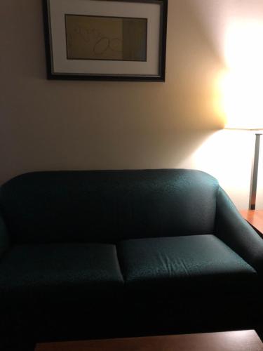 a green couch in a living room with a lamp at Countryview Inn & Suites in Robinson
