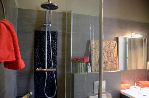 een badkamer met een douche met wastafel en spiegel bij calme et charme in Avignon
