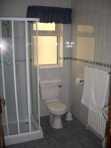 a bathroom with a toilet and a shower and a window at Seashore Lodge Guesthouse in Galway