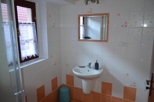 a bathroom with a sink and a mirror at Apartmány Nezdice na Šumavě in Nezdice