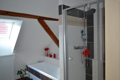 una ducha con puerta de cristal en un baño en Apartmány Nezdice na Šumavě, en Nezdice