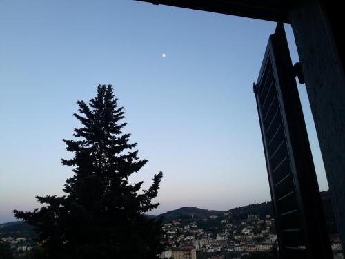 a pine tree in front of a building at B&B L'Orologio in Signa