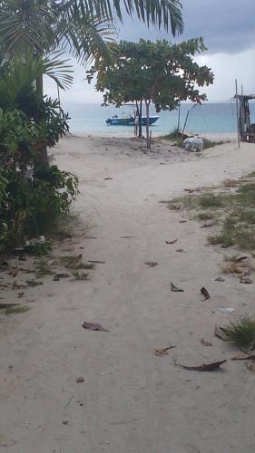 a sandy beach with trees and the ocean at Drifters@One Mile in Negril