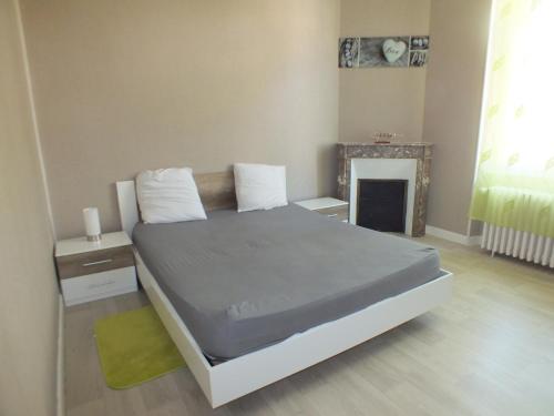 1 dormitorio pequeño con 1 cama y chimenea en Residence Mifaly, en Châteauroux