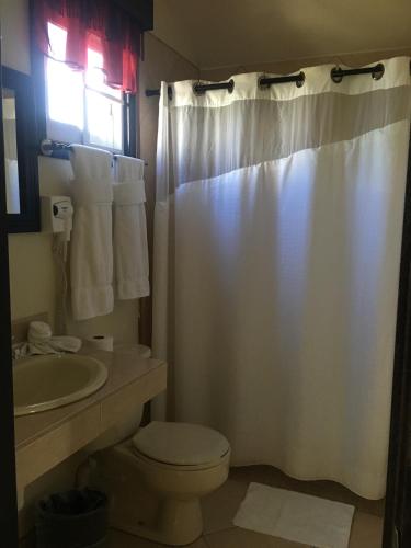a bathroom with a white shower curtain and a toilet at Blue Wave Guest House in Caye Caulker