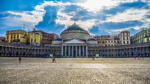 Guest Art Napoli