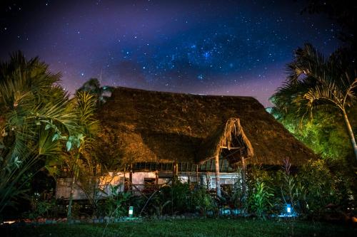 a house with a thatched roof under a night sky at Rio Napo Lodge in Puerto Misahuallí