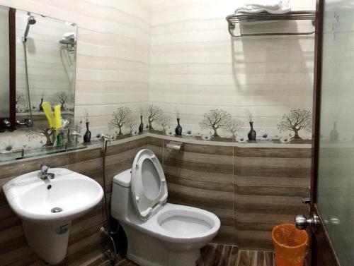 藩郎的住宿－Hotel Hong Anh，一间带卫生间和水槽的浴室