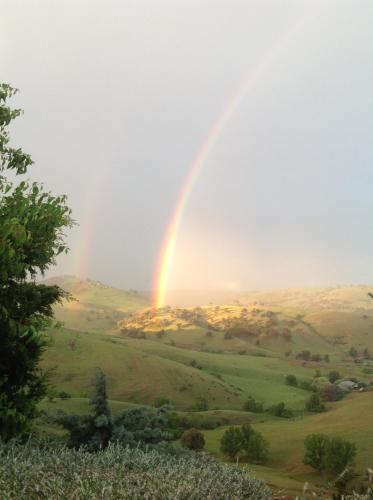a rainbow in the sky over a green field at Amazing Views Pet Friendly Bed and Breakfast in Yass