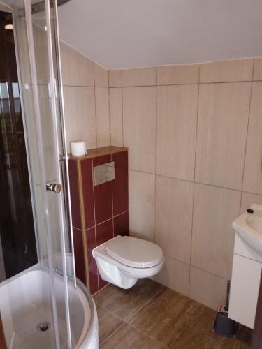 een badkamer met een toilet, een douche en een wastafel bij Sis Dziwnowek in Dziwnówek