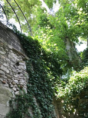 T2 intra muros clim et cour ombragée photo 14