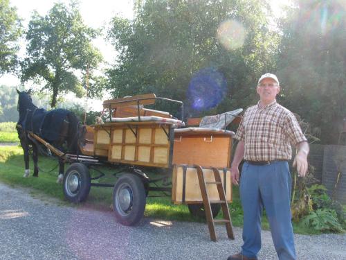 a man standing next to a horse drawn carriage at De Hoge Peel in Heythuysen