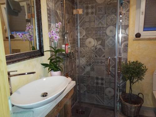 een badkamer met een wastafel en een douche bij Casa Emilia in Umag
