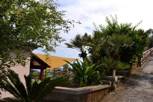 a garden in front of a building with plants at Domus Ars Home & Spa in Massa Lubrense