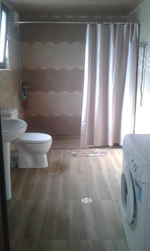 uma casa de banho com um WC e um lavatório em Guesthouse Sesili em Batumi