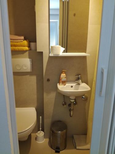 a small bathroom with a toilet and a sink at Soba u centru in Pula