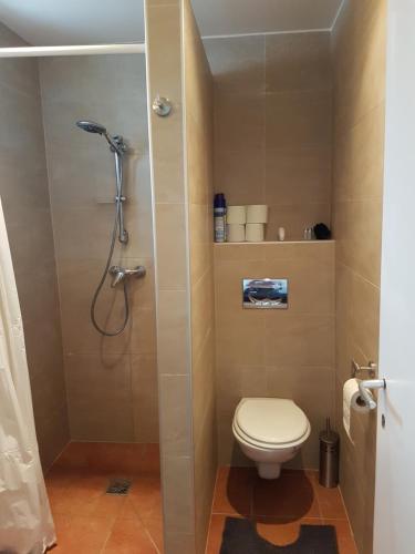 a small bathroom with a toilet and a shower at Artemis Farmapartment in Loimeth