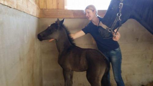 a woman standing next to a brown horse at Artemis Farmapartment in Bad Blumau