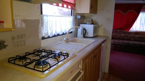 a kitchen with a stove top oven next to a sink at Ubytovani Fanisek v mobilnim domku v ceskem raji in Sobotka
