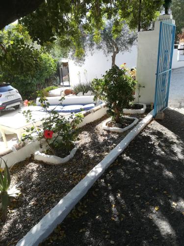 a garden with a blue fence and some plants at Olive Branch El Chorro in El Chorro