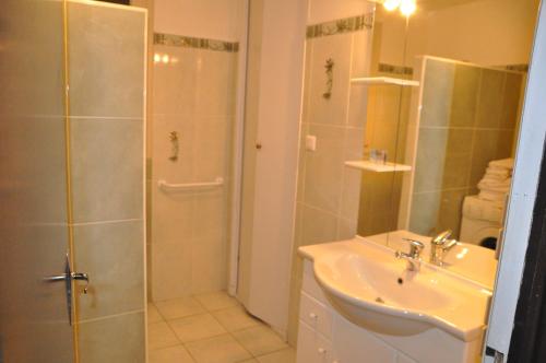 La salle de bains est pourvue d'une douche et d'un lavabo. dans l'établissement Le Mas Capel, à Salles-Curan
