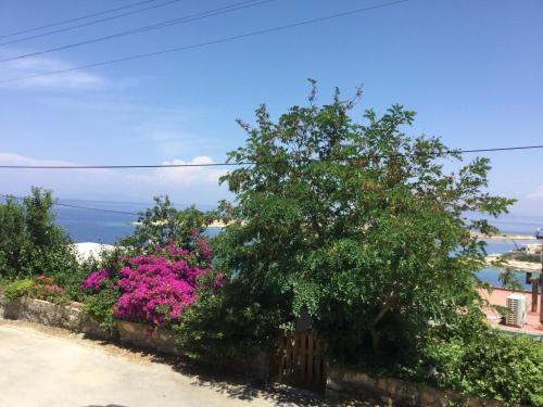 Φωτογραφία από το άλμπουμ του Teras butik apart σε Karaburun