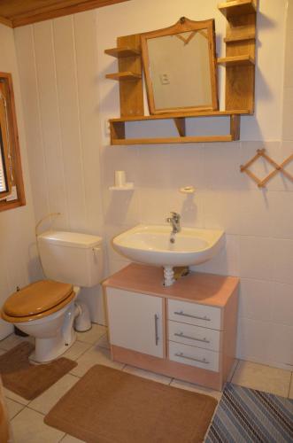 ein Badezimmer mit einem Waschbecken, einem WC und einem Spiegel in der Unterkunft Chata U Serifa in Stružinec