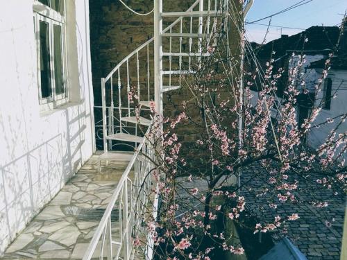 una escalera con flores rosas junto a un edificio en Small room for two in private villa, en Korçë